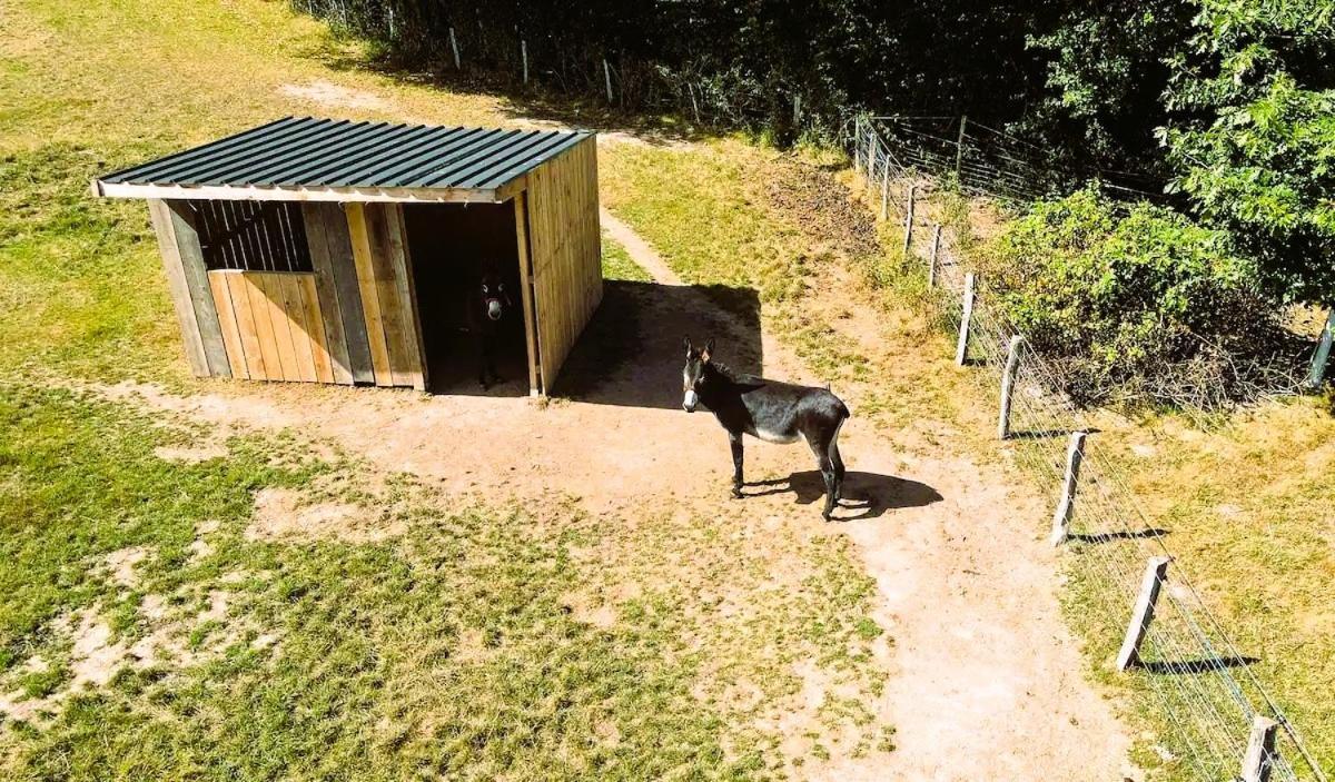 Roulotte & Foret - Evasion Boheme En Bourgogne Antully