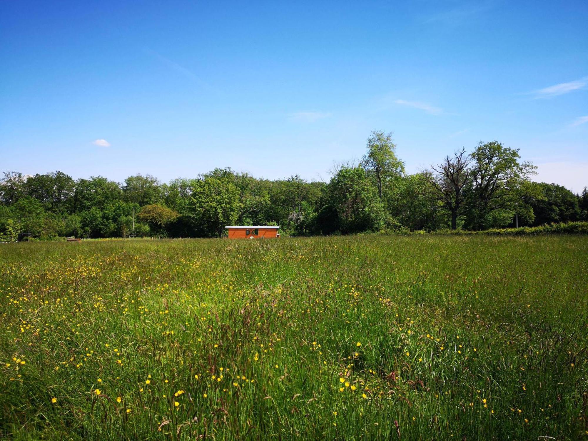 Chalet Roulotte & Foret - Evasion Boheme En Bourgogne Antully